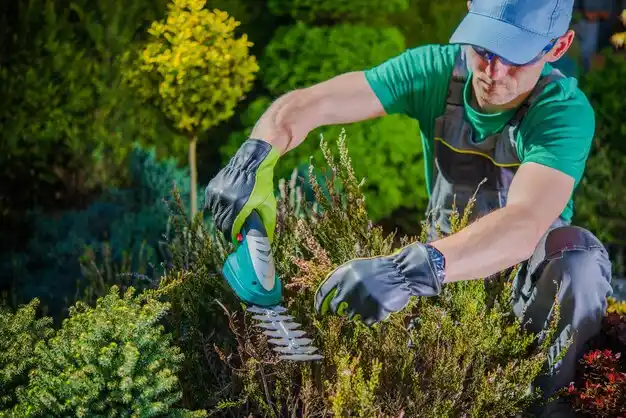 landscaping services O'Neill